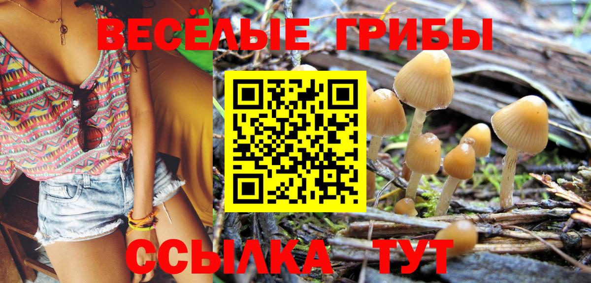 Псилоцибиновые грибы мицелий Рославль